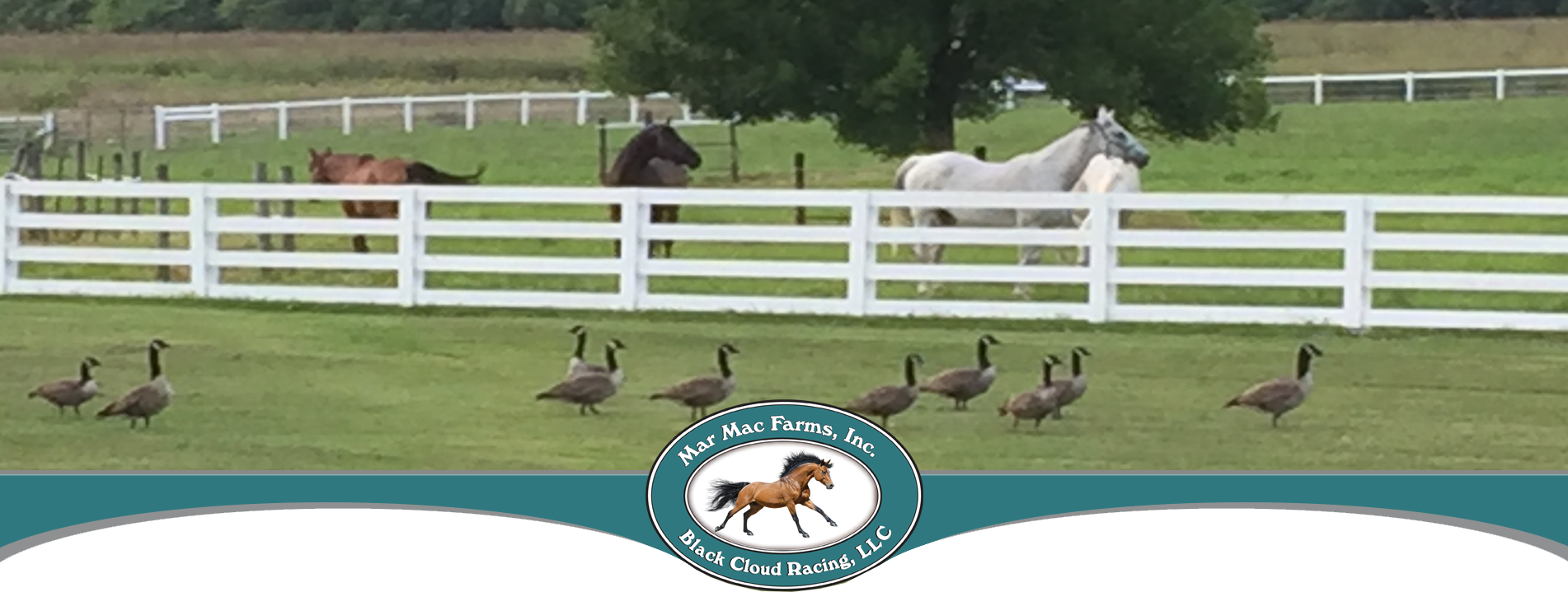 Mar Mac Farms Photo