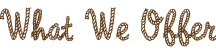What We Offer Text